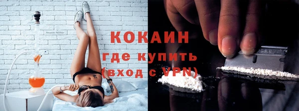 прущие грибы Бородино