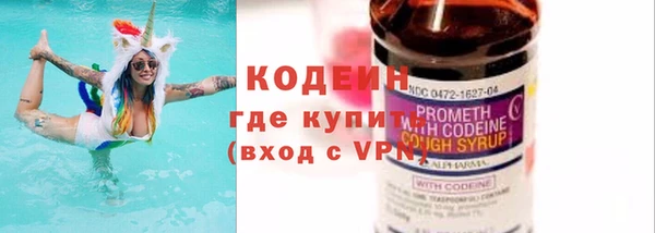 прущие грибы Бородино