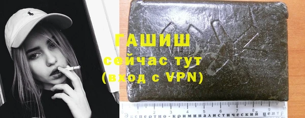 прущие грибы Бородино