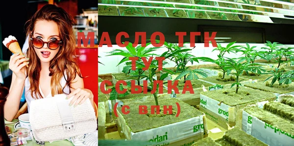 прущие грибы Бородино