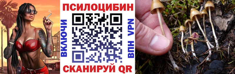 Галлюциногенные грибы мицелий  цены   Северодвинск 